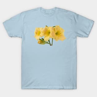 Hemerocallis  Daylily T-Shirt